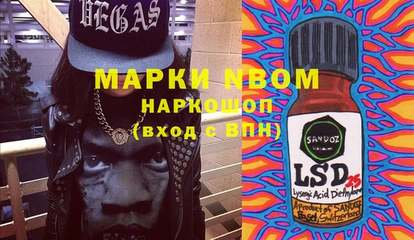 ПСИЛОЦИБИНОВЫЕ ГРИБЫ Арсеньев