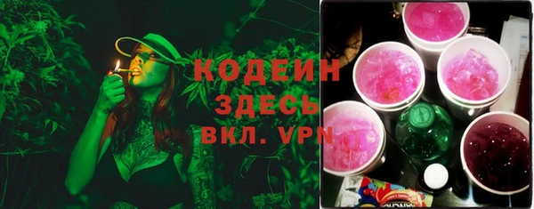 ПСИЛОЦИБИНОВЫЕ ГРИБЫ Арсеньев
